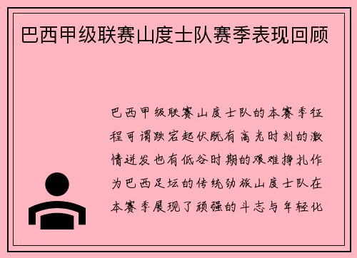 巴西甲级联赛山度士队赛季表现回顾